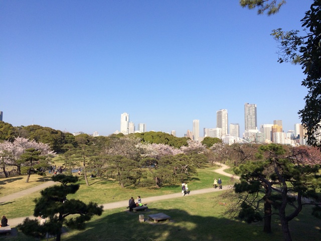 f:id:studio_pikake:20150403205232j:plain f:id:studio_pikake:20150403205232j:plain
