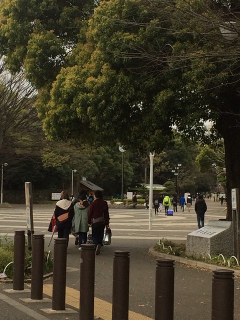 f:id:studio_pikake:20150405215851j:plain f:id:studio_pikake:20150405215851j:plain