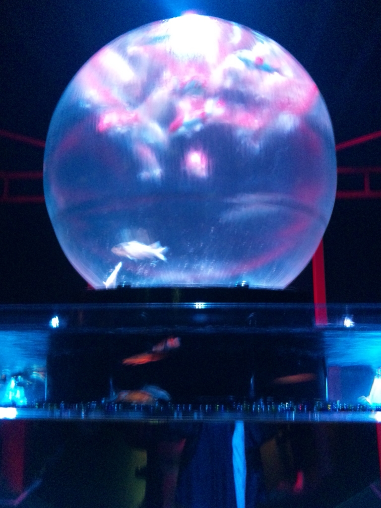 f:id:su790:20150916232542j:plain