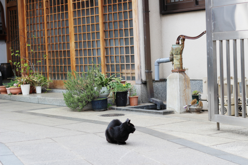 f:id:su9ita:20150514010501j:plain f:id:su9ita:20150514010501j:plain