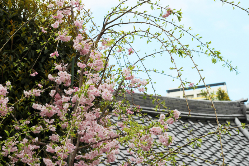 f:id:su9ita:20150514010844j:plain f:id:su9ita:20150514010844j:plain