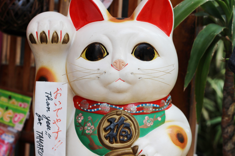 f:id:su9ita:20150514011210j:plain f:id:su9ita:20150514011210j:plain