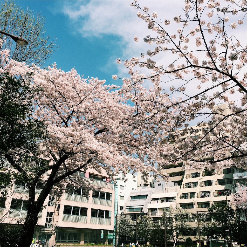 f:id:sublimelife:20160406134152j:image f:id:sublimelife:20160406134152j:image