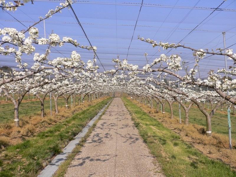 f:id:suchi:20081016235711j:image:w400