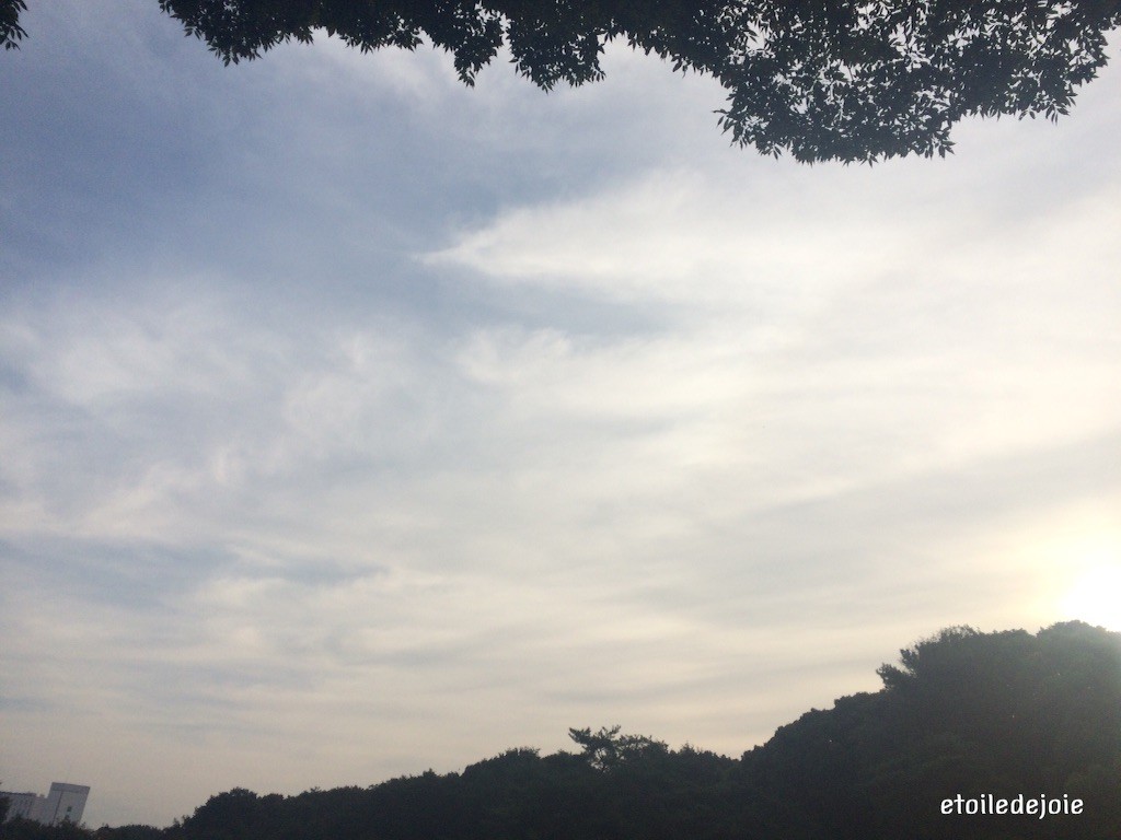 f:id:sucre-miel:20151020202958j:image f:id:sucre-miel:20151020202958j:image