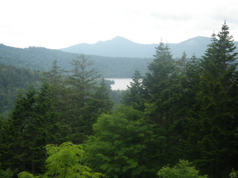 f:id:suika980:20120718113542j:image:w640 f:id:suika980:20120718113542j:image:w640
