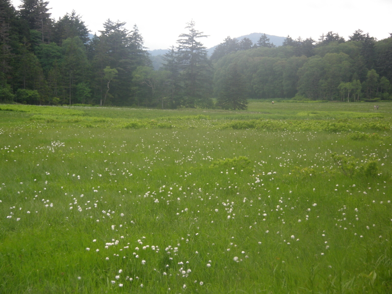 f:id:suika980:20120718115326j:image:w640 f:id:suika980:20120718115326j:image:w640