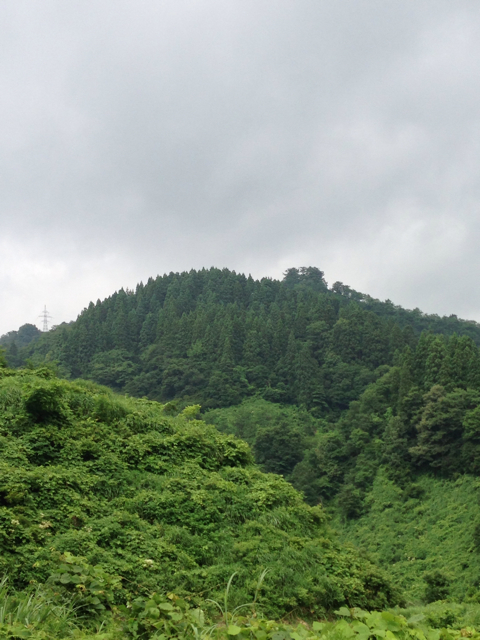 f:id:suika980:20130713153703j:plain f:id:suika980:20130713153703j:plain
