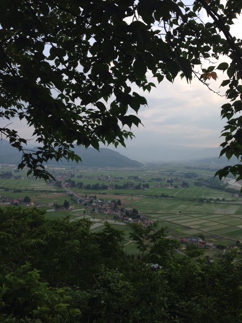 f:id:suika980:20140705213639j:plain f:id:suika980:20140705213639j:plain