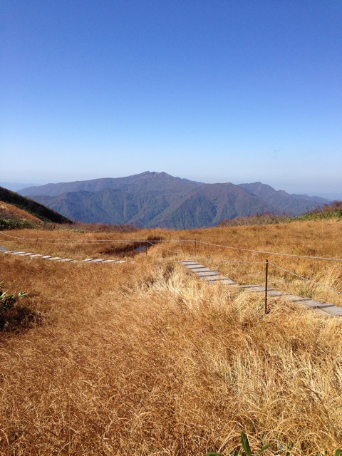 f:id:suika980:20141020230402j:plain f:id:suika980:20141020230402j:plain