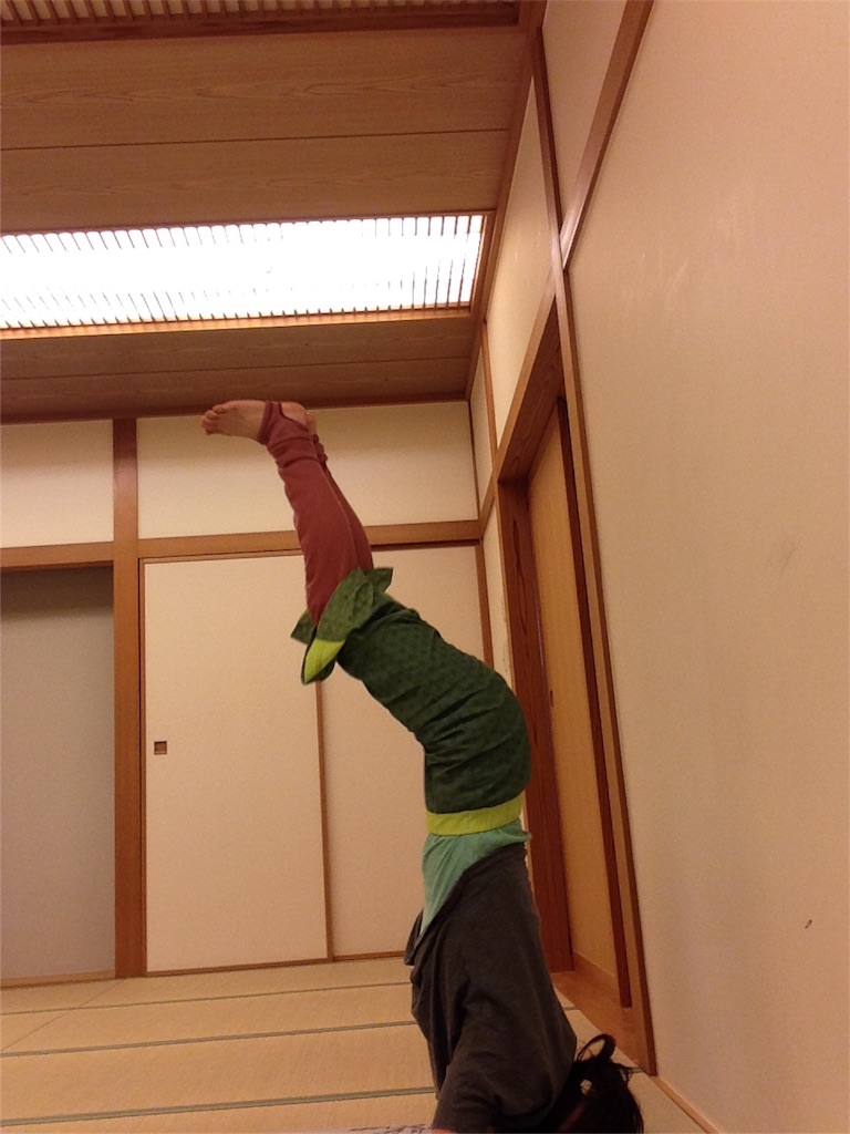 f:id:suikahasukika:20160123012605j:image f:id:suikahasukika:20160123012605j:image