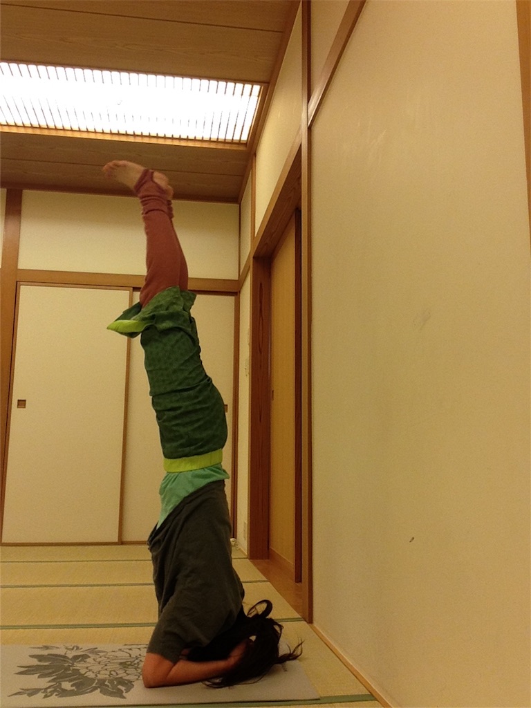f:id:suikahasukika:20160123012634j:image f:id:suikahasukika:20160123012634j:image
