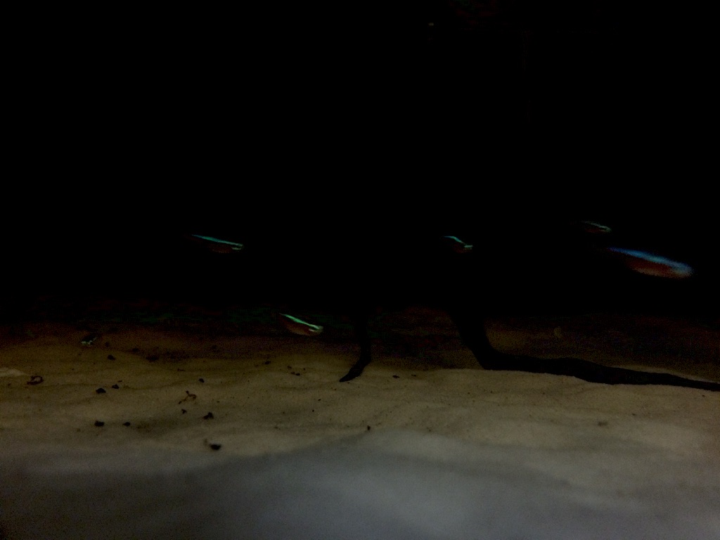 f:id:suisougakka:20151009230615j:image f:id:suisougakka:20151009230615j:image