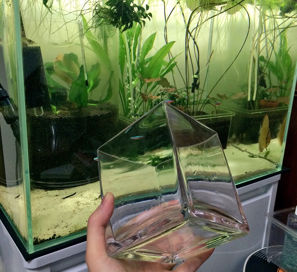 f:id:suisougakka:20151014230008j:image f:id:suisougakka:20151014230008j:image