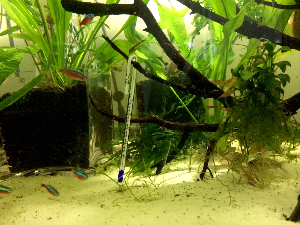 f:id:suisougakka:20151022205732j:image f:id:suisougakka:20151022205732j:image