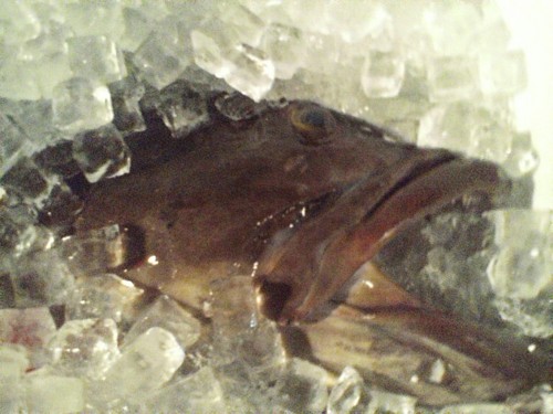 f:id:sukemaro:20061215225503j:image:w350 f:id:sukemaro:20061215225503j:image:w350