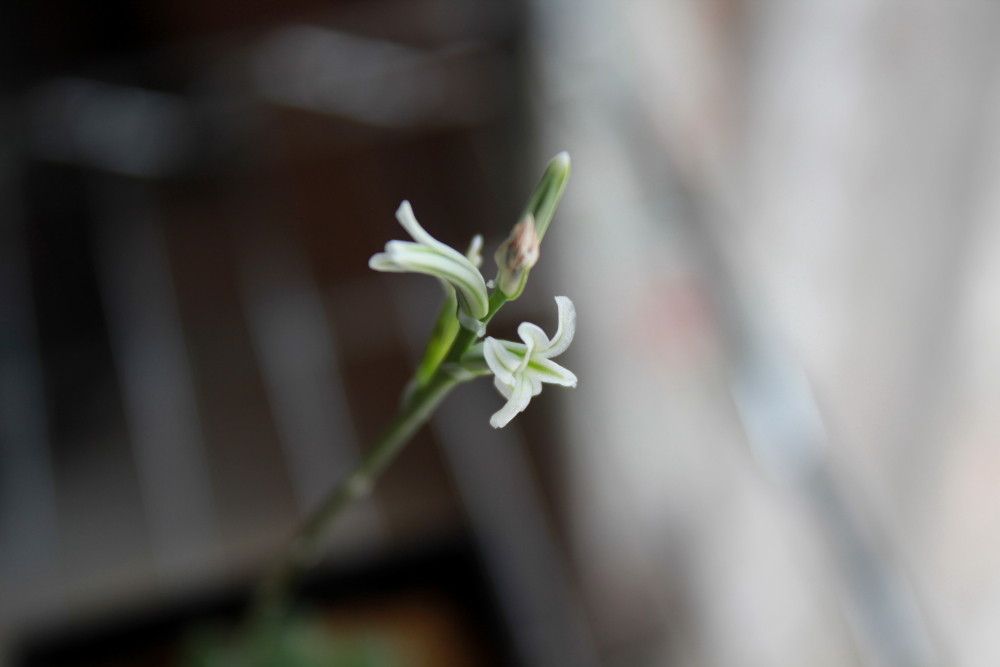 f:id:sukiyaki_happy:20160417230347j:plain f:id:sukiyaki_happy:20160417230347j:plain