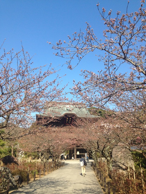 f:id:sukosimo_samuku_nice:20150327003058j:plain f:id:sukosimo_samuku_nice:20150327003058j:plain