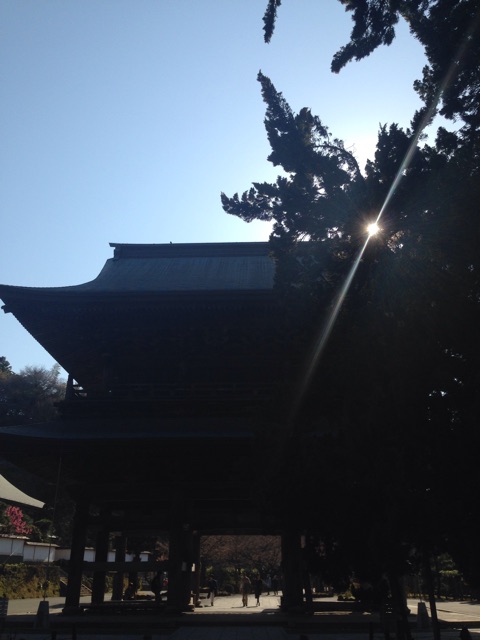 f:id:sukosimo_samuku_nice:20150327003148j:plain f:id:sukosimo_samuku_nice:20150327003148j:plain