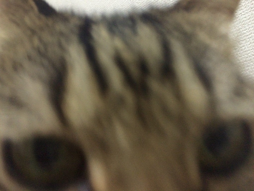 f:id:sumahodoukamojimaten:20150806212408j:image f:id:sumahodoukamojimaten:20150806212408j:image
