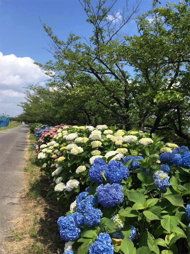 f:id:sumika_morita:20160619193028j:image f:id:sumika_morita:20160619193028j:image
