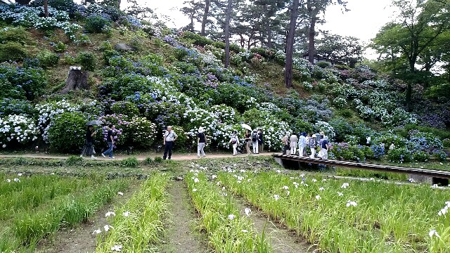 f:id:sumimame:20160618204059j:image f:id:sumimame:20160618204059j:image
