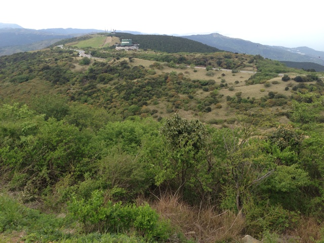 f:id:summer_resort:20150507003005j:plain f:id:summer_resort:20150507003005j:plain