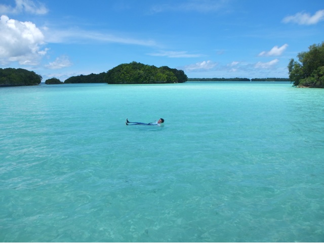 f:id:summer_resort:20150622190024j:plain f:id:summer_resort:20150622190024j:plain