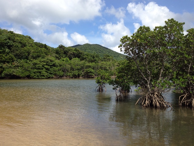 f:id:summer_resort:20150622190514j:plain f:id:summer_resort:20150622190514j:plain