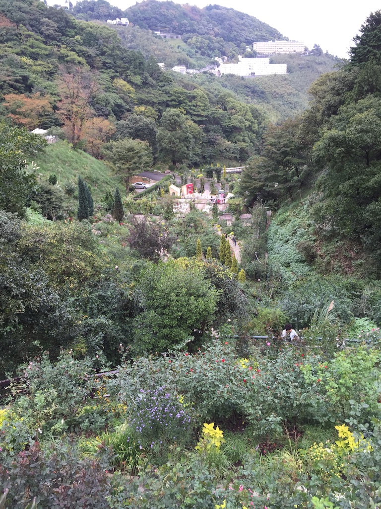 f:id:summer_resort:20151019014056j:image f:id:summer_resort:20151019014056j:image