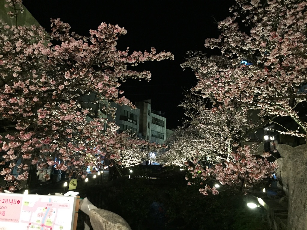 f:id:summer_resort:20160124145814j:image f:id:summer_resort:20160124145814j:image