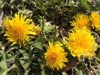 f:id:suna622:20150409135926j:plain f:id:suna622:20150409135926j:plain