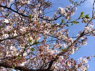 f:id:suna622:20150409165809j:plain f:id:suna622:20150409165809j:plain
