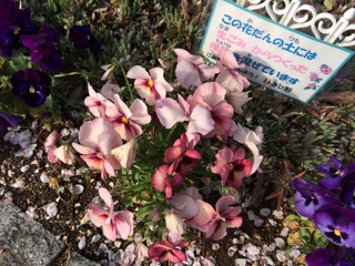 f:id:suna622:20150409170251j:plain f:id:suna622:20150409170251j:plain