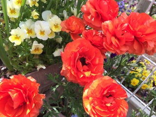 f:id:suna622:20150417121236j:plain f:id:suna622:20150417121236j:plain