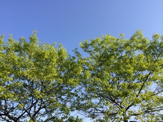 f:id:suna622:20150428092330j:plain f:id:suna622:20150428092330j:plain