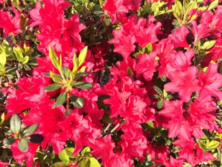 f:id:suna622:20150428093947j:plain f:id:suna622:20150428093947j:plain
