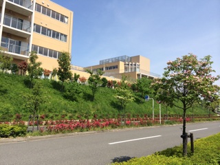 f:id:suna622:20150428134546j:plain f:id:suna622:20150428134546j:plain