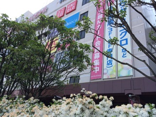 f:id:suna622:20150508125540j:plain f:id:suna622:20150508125540j:plain