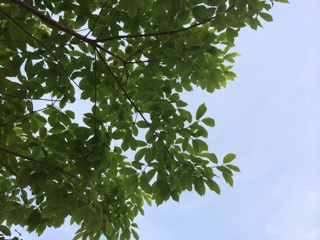 f:id:suna622:20150514145647j:plain f:id:suna622:20150514145647j:plain