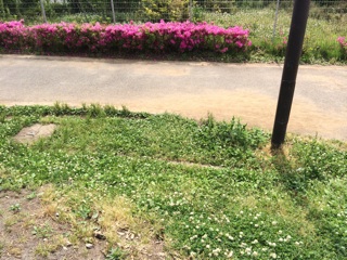 f:id:suna622:20150519215019j:plain f:id:suna622:20150519215019j:plain
