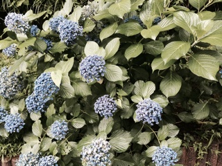 f:id:suna622:20150702141243j:plain f:id:suna622:20150702141243j:plain