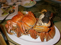 f:id:sunandmoon:20061203182851j:image