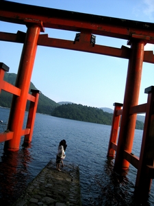 f:id:sunandmoon:20080618201336j:image f:id:sunandmoon:20080618201336j:image
