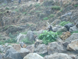 f:id:sunandmoon:20090725145253j:image