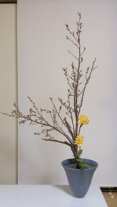 f:id:sunandmoon:20130323134108j:image