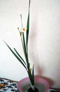 f:id:sunandmoon:20131117132118j:image