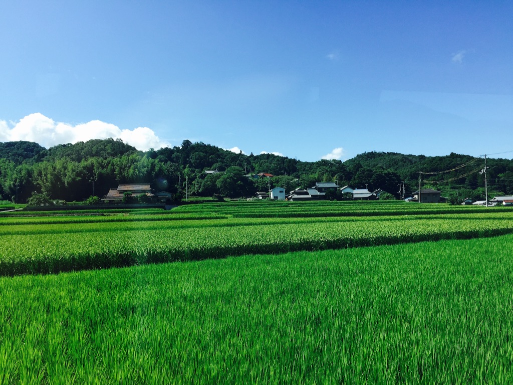 f:id:sundrivertakuya:20150903223505j:image f:id:sundrivertakuya:20150903223505j:image