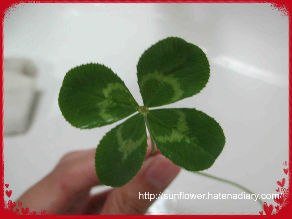 f:id:sunflowermoon2:20151016112614j:plain f:id:sunflowermoon2:20151016112614j:plain
