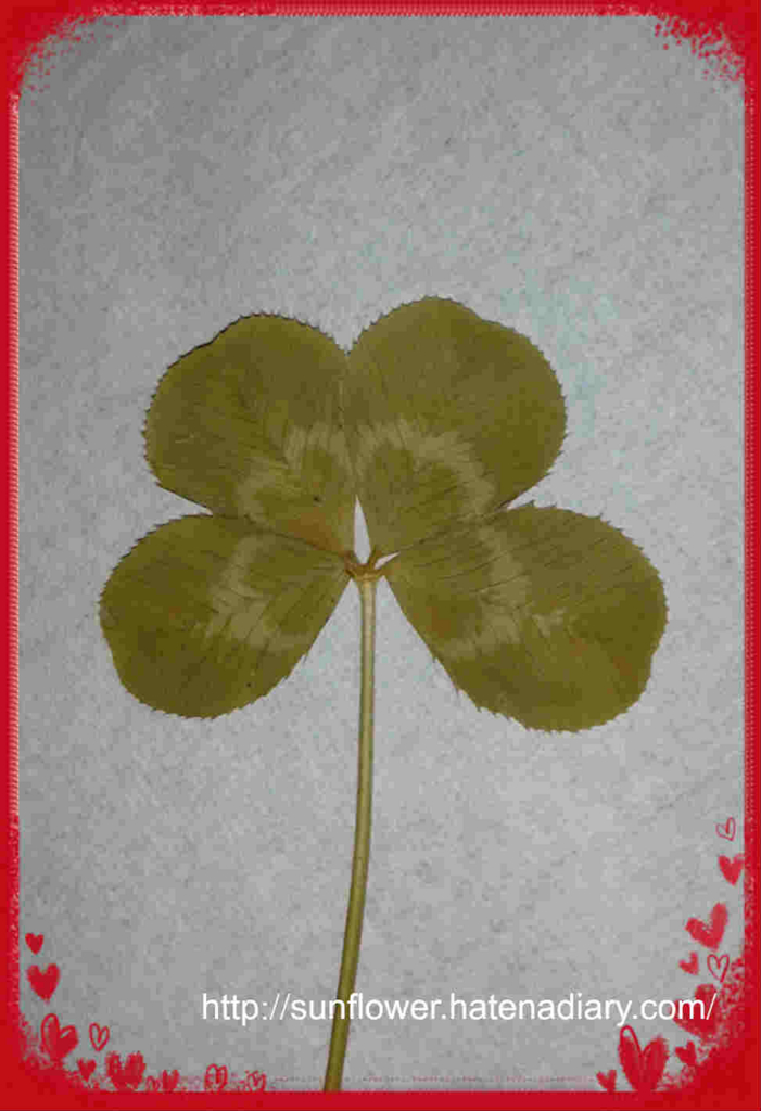 f:id:sunflowermoon2:20151016115342j:plain f:id:sunflowermoon2:20151016115342j:plain